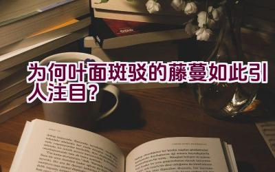 为何叶面斑驳的藤蔓如此引人注目？插图