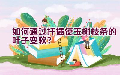 如何通过扦插使玉树枝条的叶子变软？插图