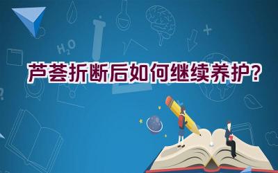 芦荟折断后如何继续养护?插图 芦荟折断后如何继续养护?插图