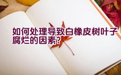 如何处理导致白橡皮树叶子腐烂的因素？插图