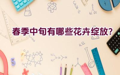 春季中旬有哪些花卉绽放？插图