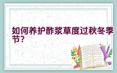 如何养护酢浆草度过秋冬季节？插图