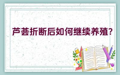 芦荟折断后如何继续养殖？插图