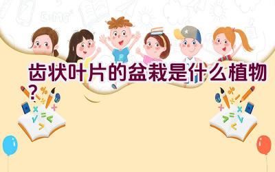 齿状叶片的盆栽是什么植物？插图