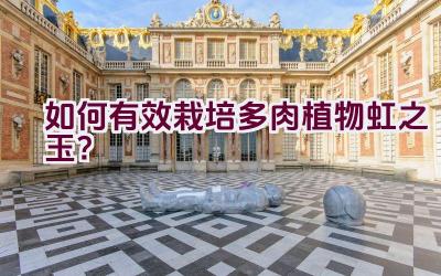 如何有效栽培多肉植物虹之玉?插图 如何有效栽培多肉植物虹之玉?插图