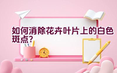 如何消除花卉叶片上的白色斑点？插图