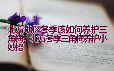 北方地区冬季该如何养护三角梅，北方冬季三角梅养护小妙招插图