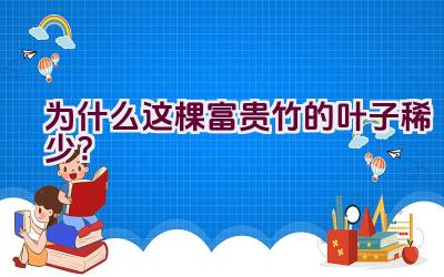 为什么这棵富贵竹的叶子稀少？插图