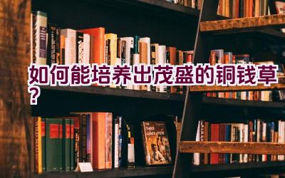 如何能培养出茂盛的铜钱草?插图 如何能培养出茂盛的铜钱草?插图