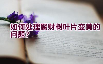 如何处理聚财树叶片变黄的问题？插图