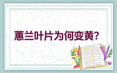 蕙兰叶片为何变黄？插图