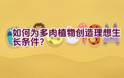 如何为多肉植物创造理想生长条件？插图