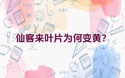 仙客来叶片为何变黄？插图