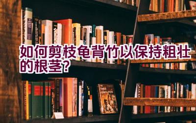 如何剪枝龟背竹以保持粗壮的根茎?插图 如何剪枝龟背竹以保持粗壮的根茎?插图
