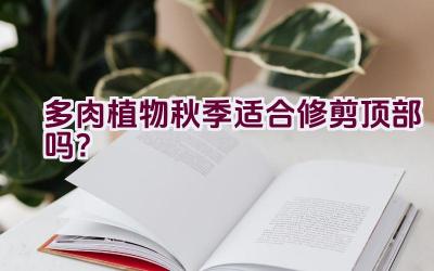 多肉植物秋季适合修剪顶部吗？插图