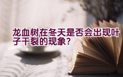 龙血树在冬天是否会出现叶子干裂的现象？插图