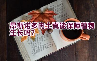 昂斯诺多肉土真能保障植物生长吗？插图