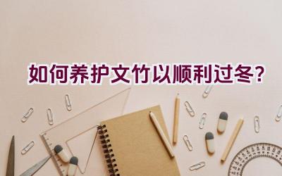 如何养护文竹以顺利过冬？插图