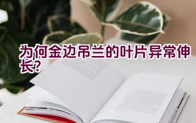 为何金边吊兰的叶片异常伸长？插图