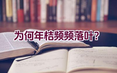 为何年桔频频落叶？插图