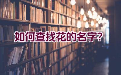 如何查找花的名字？插图