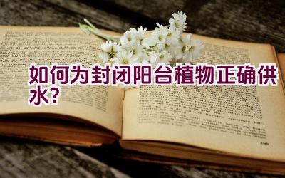 如何为封闭阳台植物正确供水？插图