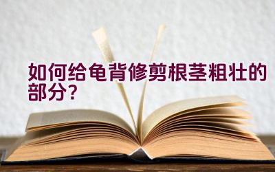 如何给龟背修剪根茎粗壮的部分？插图