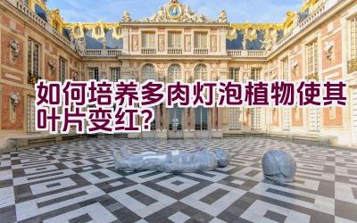 如何培养多肉灯泡植物使其叶片变红？插图