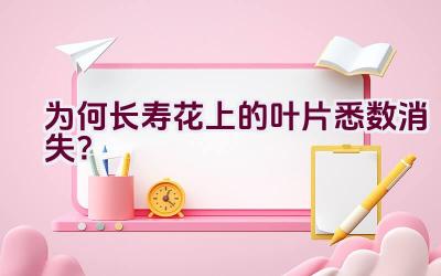 为何长寿花上的叶片悉数消失？插图