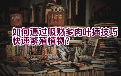 “如何通过吸财多肉叶插技巧快速繁殖植物？”插图