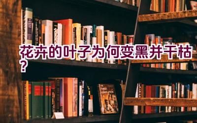 花卉的叶子为何变黑并干枯？插图