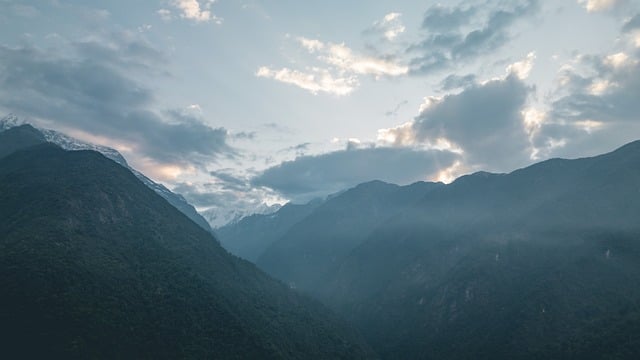 金丝梅如何进行分株繁殖？ ， 金丝梅的魅力与种植技巧插图