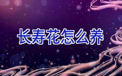 长寿花怎么养插图 长寿花怎么养插图