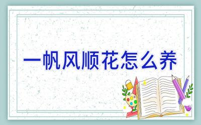 一帆风顺花怎么养插图 一帆风顺花怎么养插图