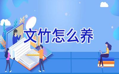 文竹怎么养插图 文竹怎么养插图