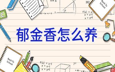 郁金香怎么养插图 郁金香怎么养插图