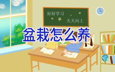 盆栽怎么养插图 盆栽怎么养插图