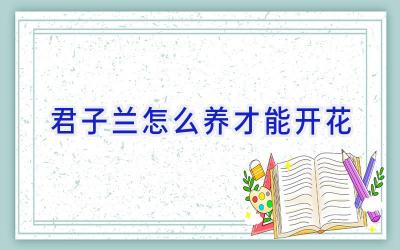 君子兰怎么养才能开花插图 君子兰怎么养才能开花插图