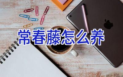 常春藤怎么养插图 常春藤怎么养插图